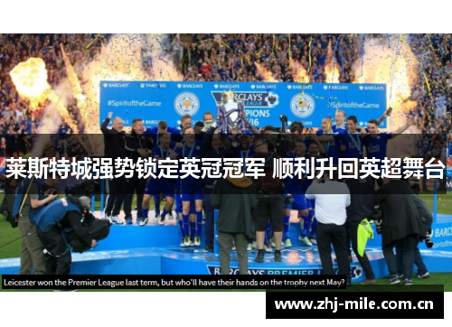 莱斯特城强势锁定英冠冠军 顺利升回英超舞台 莱斯特城强势锁定英冠冠军 顺利升回英超舞台